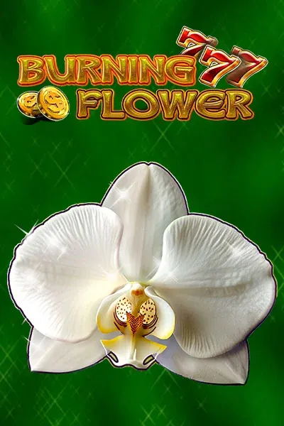 jeu Burning Flower · Vicibet Casino
